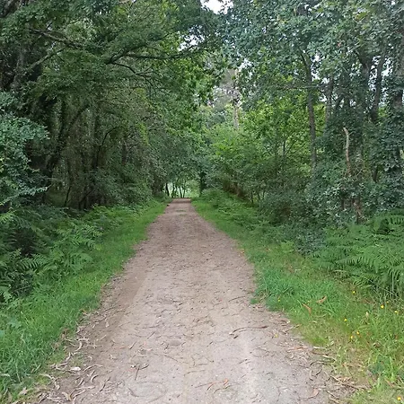 Piso Cerca De Santiago De Compostela Y Rias Baixas Apartament Negreira